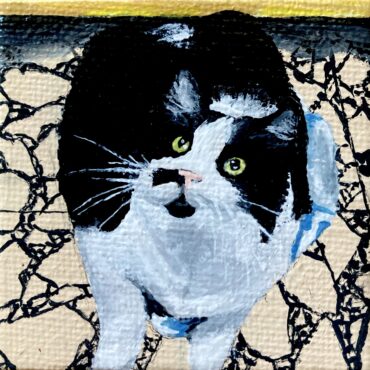 George Cat Portrait